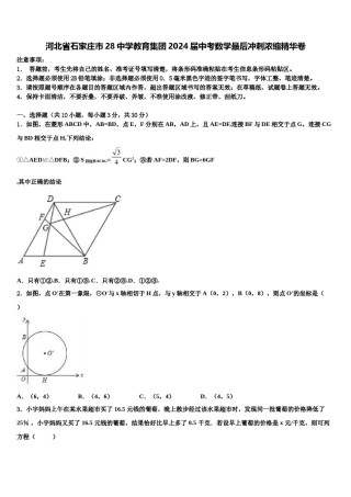 河北省石家庄市28中学教育集团2024届中考数学最后冲刺浓缩精华卷含解析.doc