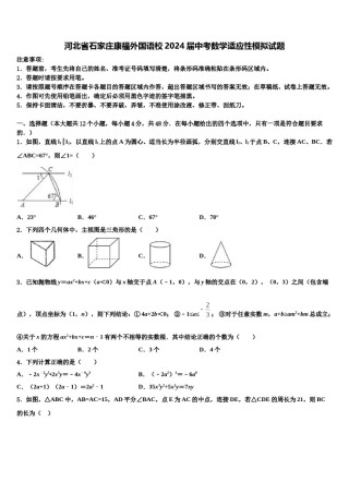 河北省石家庄康福外国语校2024届中考数学适应性模拟试题含解析.doc