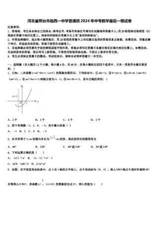 河北省邢台市临西一中学普通班2024年中考数学最后一模试卷含解析.doc