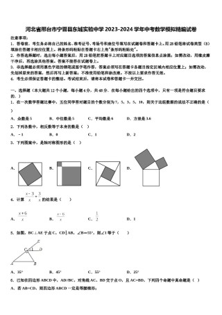 河北省邢台市宁晋县东城实验中学2023-2024学年中考数学模拟精编试卷含解析.doc