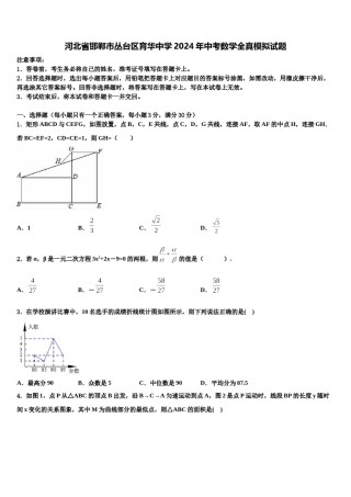 河北省邯郸市丛台区育华中学2024年中考数学全真模拟试题含解析.doc