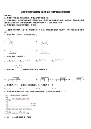河北省邯郸市大名县2024届十校联考最后数学试题含解析.doc