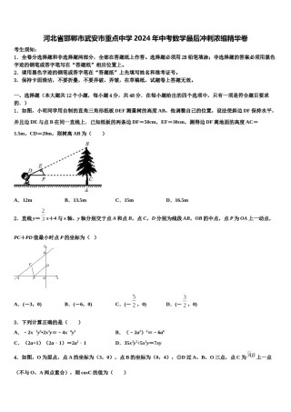 河北省邯郸市武安市重点中学2024年中考数学最后冲刺浓缩精华卷含解析.doc