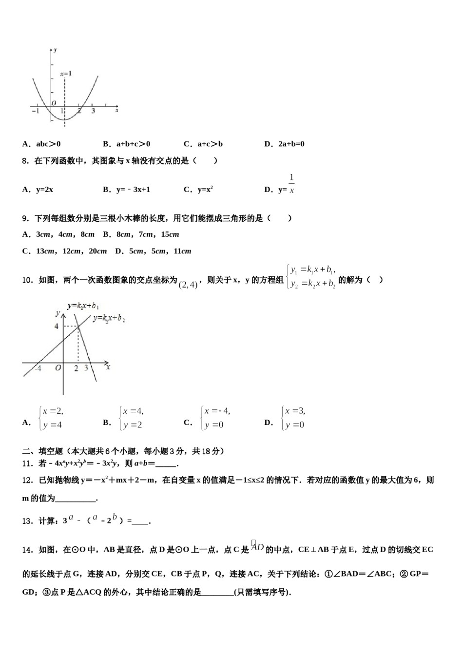 河北省邯郸市磁县2024年中考数学最后冲刺浓缩精华卷含解析.doc_第2页
