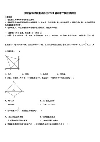 河北省鸡泽县重点名校2024届中考二模数学试题含解析.doc