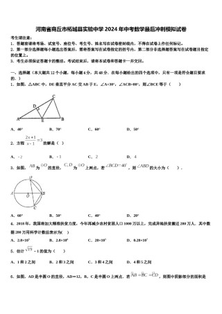 河南省商丘市柘城县实验中学2024年中考数学最后冲刺模拟试卷含解析.doc