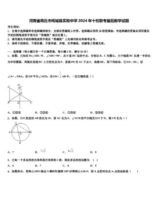 河南省商丘市柘城县实验中学2024年十校联考最后数学试题含解析.doc