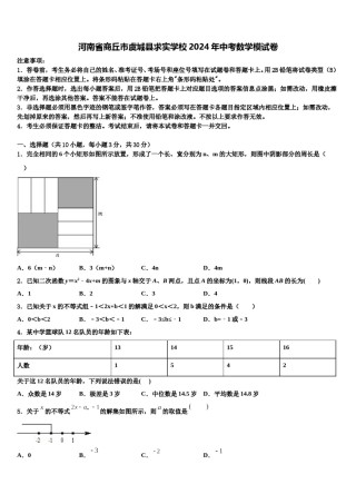 河南省商丘市虞城县求实学校2024年中考数学模试卷含解析.doc