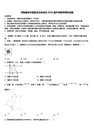 河南省宝丰县重点达标名校2024届中考数学模拟试题含解析.doc
