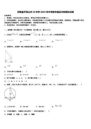 河南省平顶山市42中学2024年中考数学最后冲刺模拟试卷含解析.doc