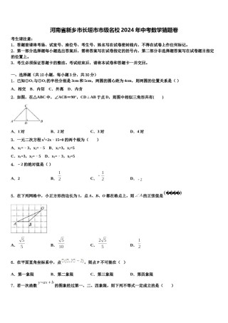 河南省新乡市长垣市市级名校2024年中考数学猜题卷含解析.doc