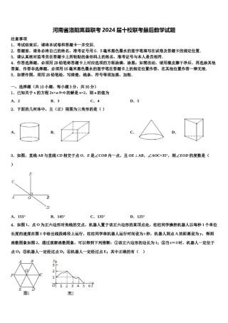 河南省洛阳嵩县联考2024届十校联考最后数学试题含解析.doc
