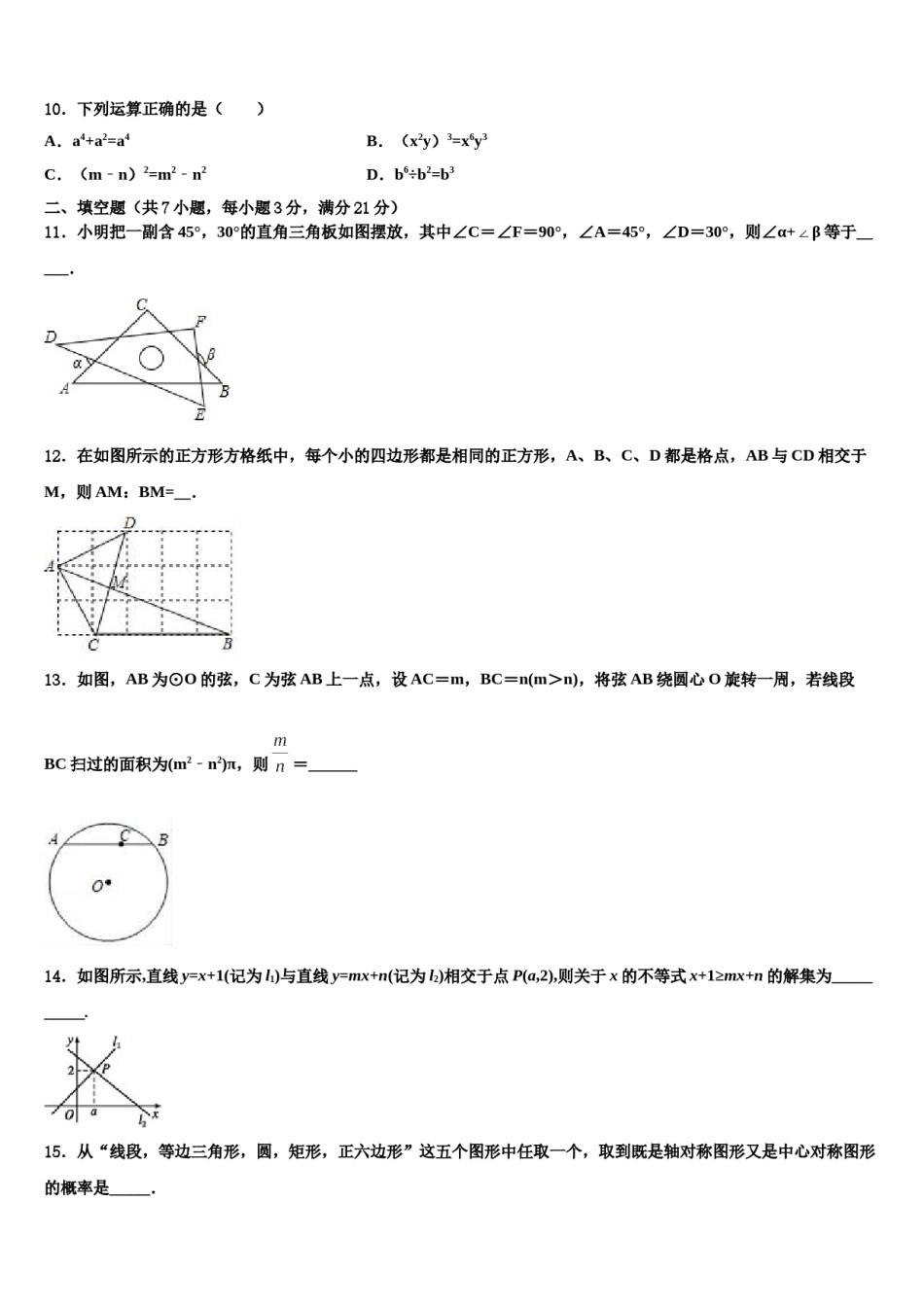 河南省濮阳市油田实验校2024年中考数学适应性模拟试题含解析.doc_第3页