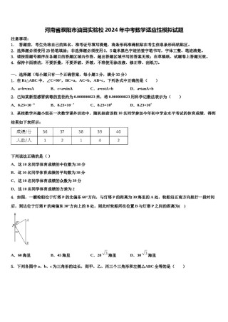 河南省濮阳市油田实验校2024年中考数学适应性模拟试题含解析.doc