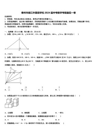 泰州市靖江外国语学校2024届中考数学考前最后一卷含解析.doc
