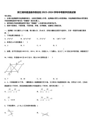 浙江湖州德清县市级名校2023-2024学年中考数学仿真试卷含解析.doc