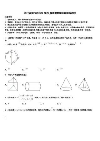 浙江省丽水市名校2024届中考数学全真模拟试题含解析.doc