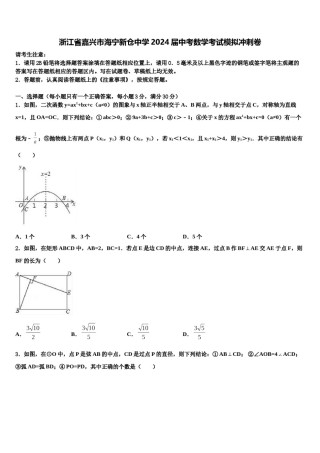 浙江省嘉兴市海宁新仓中学2024届中考数学考试模拟冲刺卷含解析.doc