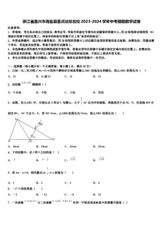 浙江省嘉兴市海盐县重点达标名校2023-2024学年中考猜题数学试卷含解析.doc