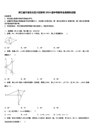 浙江省宁波北仑区六校联考2024届中考数学全真模拟试题含解析.doc