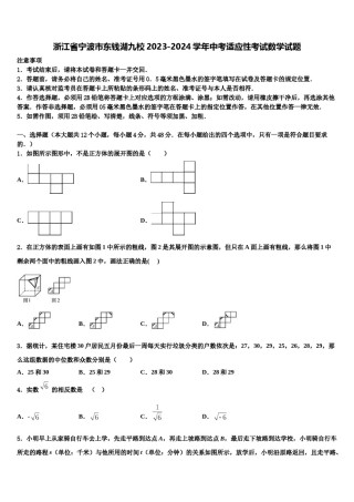 浙江省宁波市东钱湖九校2023-2024学年中考适应性考试数学试题含解析.doc