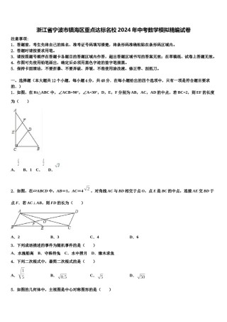 浙江省宁波市镇海区重点达标名校2024年中考数学模拟精编试卷含解析.doc