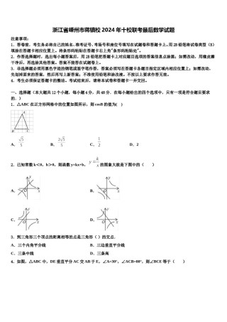 浙江省嵊州市蒋镇校2024年十校联考最后数学试题含解析.doc