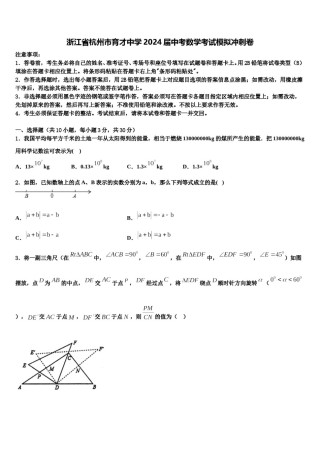 浙江省杭州市育才中学2024届中考数学考试模拟冲刺卷含解析.doc