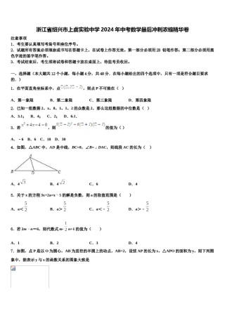 浙江省绍兴市上虞实验中学2024年中考数学最后冲刺浓缩精华卷含解析.doc