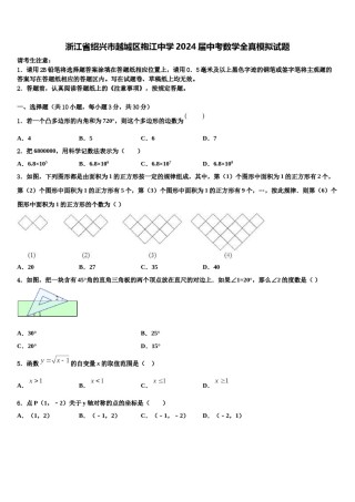 浙江省绍兴市越城区袍江中学2024届中考数学全真模拟试题含解析.doc