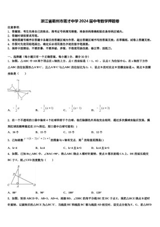 浙江省衢州市菁才中学2024届中考数学押题卷含解析.doc