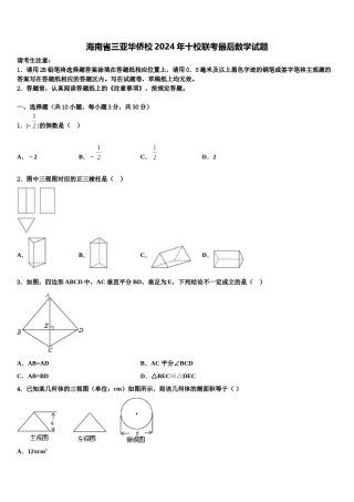 海南省三亚华侨校2024年十校联考最后数学试题含解析.doc
