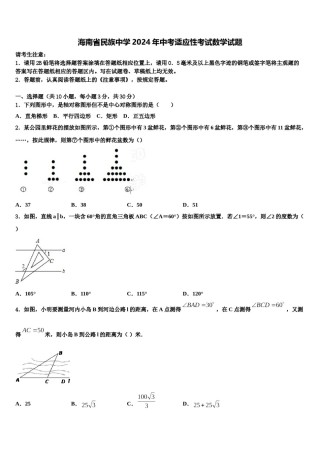 海南省民族中学2024年中考适应性考试数学试题含解析.doc