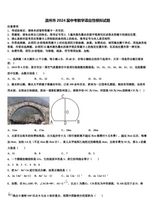 温州市2024届中考数学适应性模拟试题含解析.doc