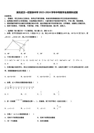 湖北武汉一初慧泉中学2023-2024学年中考数学全真模拟试题含解析.doc