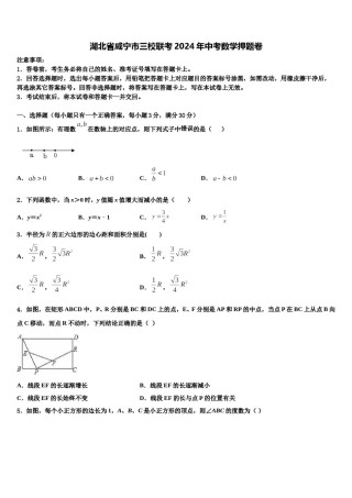 湖北省咸宁市三校联考2024年中考数学押题卷含解析.doc