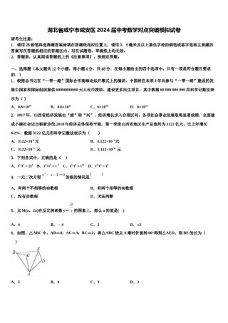 湖北省咸宁市咸安区2024届中考数学对点突破模拟试卷含解析.doc