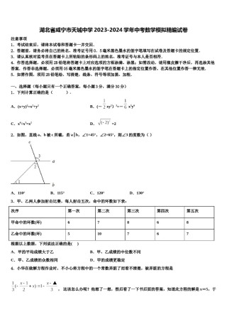 湖北省咸宁市天城中学2023-2024学年中考数学模拟精编试卷含解析.doc