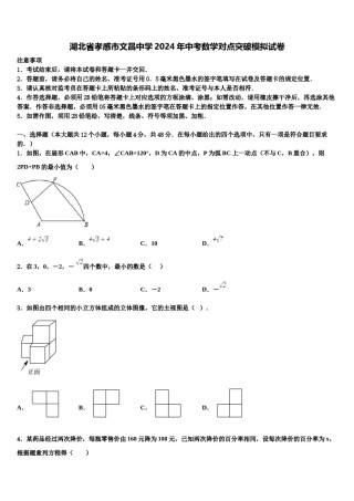 湖北省孝感市文昌中学2024年中考数学对点突破模拟试卷含解析.doc