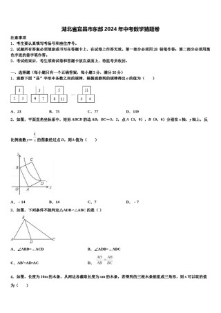 湖北省宜昌市东部2024年中考数学猜题卷含解析.doc