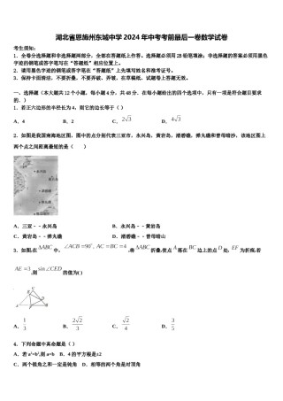 湖北省恩施州东城中学2024年中考考前最后一卷数学试卷含解析.doc