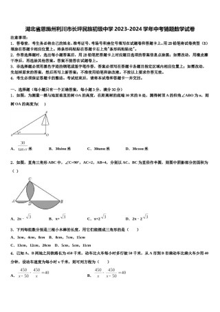 湖北省恩施州利川市长坪民族初级中学2023-2024学年中考猜题数学试卷含解析.doc