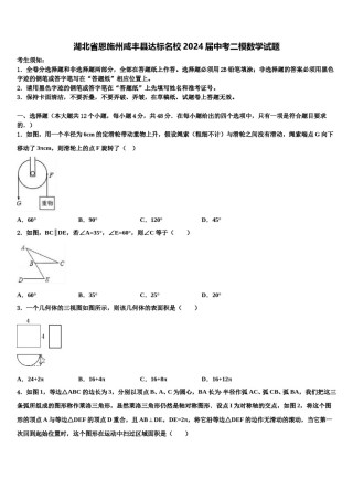 湖北省恩施州咸丰县达标名校2024届中考二模数学试题含解析.doc