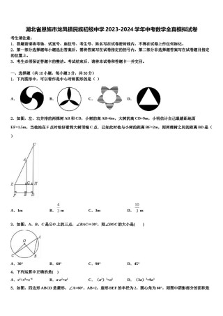 湖北省恩施市龙凤镇民族初级中学2023-2024学年中考数学全真模拟试卷含解析.doc