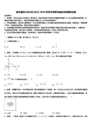 湖北省枝江市九校2023-2024学年中考数学最后冲刺模拟试卷含解析.doc