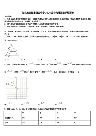 湖北省枣阳市第三中学2024届中考押题数学预测卷含解析.doc