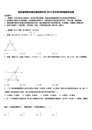 湖北省枣阳市鹿头镇初级中学2024年中考冲刺卷数学试题含解析.doc