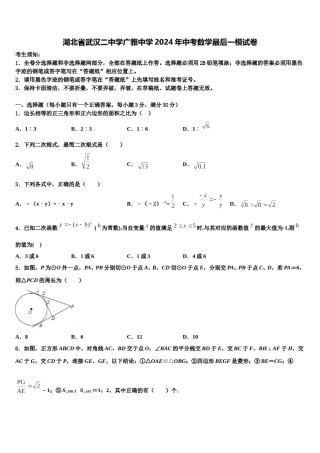 湖北省武汉二中学广雅中学2024年中考数学最后一模试卷含解析.doc