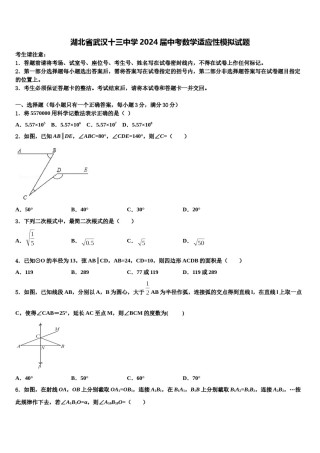 湖北省武汉十三中学2024届中考数学适应性模拟试题含解析.doc