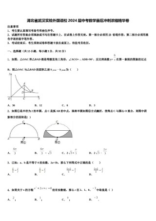 湖北省武汉实验外国语校2024届中考数学最后冲刺浓缩精华卷含解析.doc